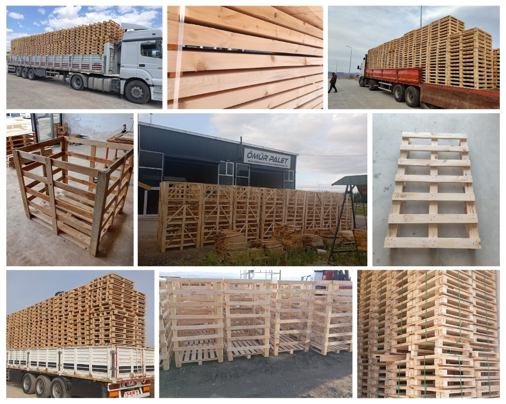 Gouda Houten Kisten, Europallets Groothandel Kopen